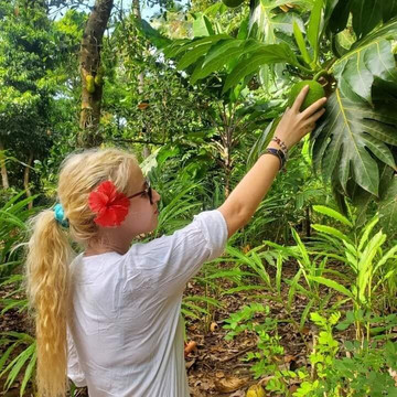 Coconut Tour-石头城必去景点