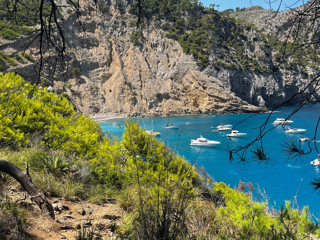 Platja Des Coll Baix景点图片