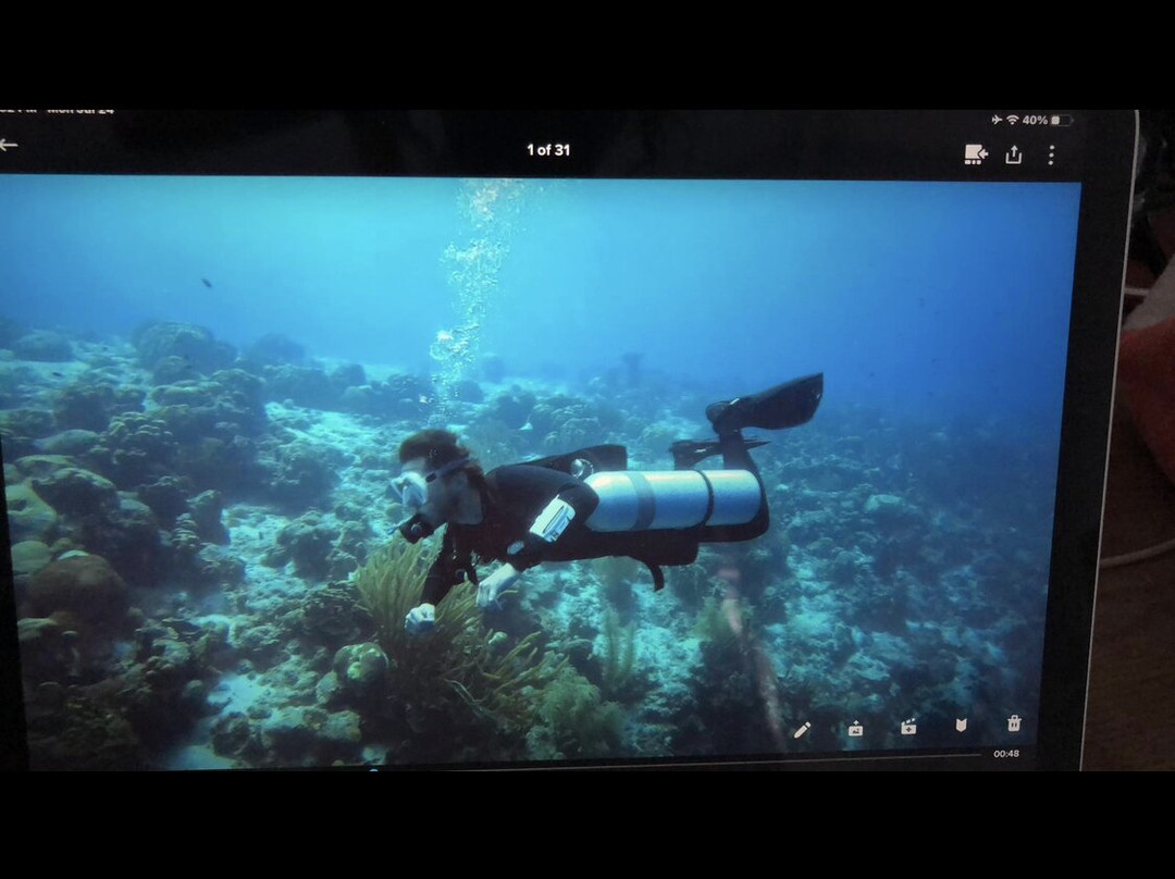Technical Diving Services-Kralendijk必去景点
