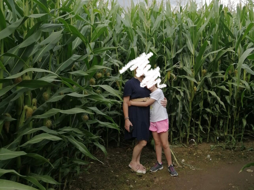 Apple Jacks Adventure Farm-沃灵顿必去景点