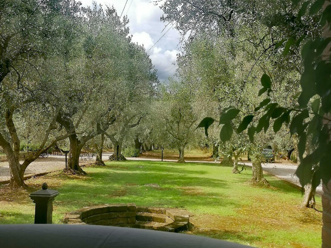 Agriturismo Podere Valdo