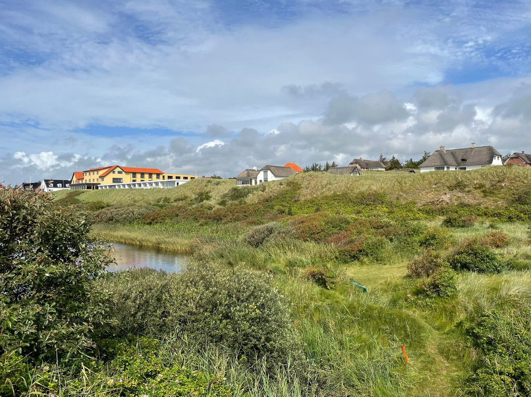 Henne Strand旅游攻略图片