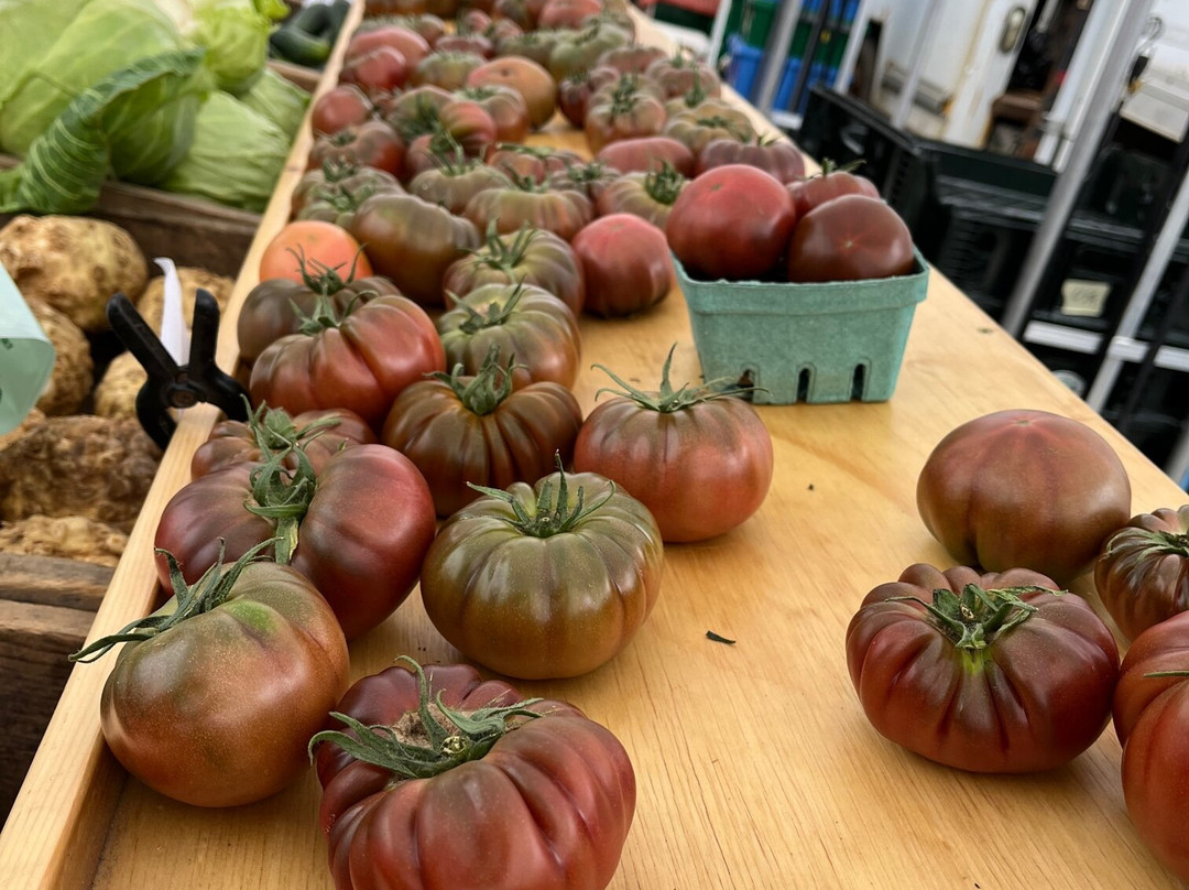 Bath Farmers Market景点图片