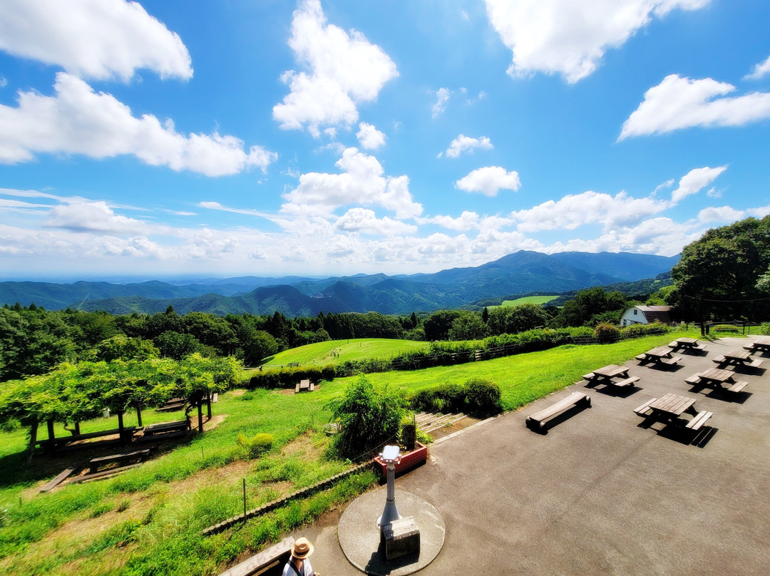 Chichibu Kogen Farm-东秩父村必去景点