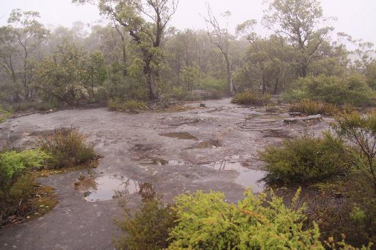 Aboriginal Blue Mountains Walkabout景点图片