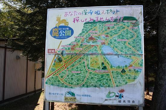 Abira Town Deers Park-安平町必去景点