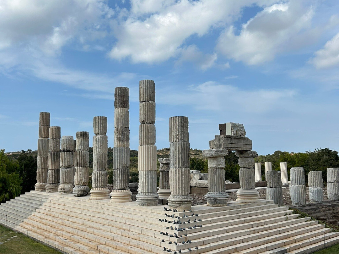 Apollon Symintheion Ruins景点图片