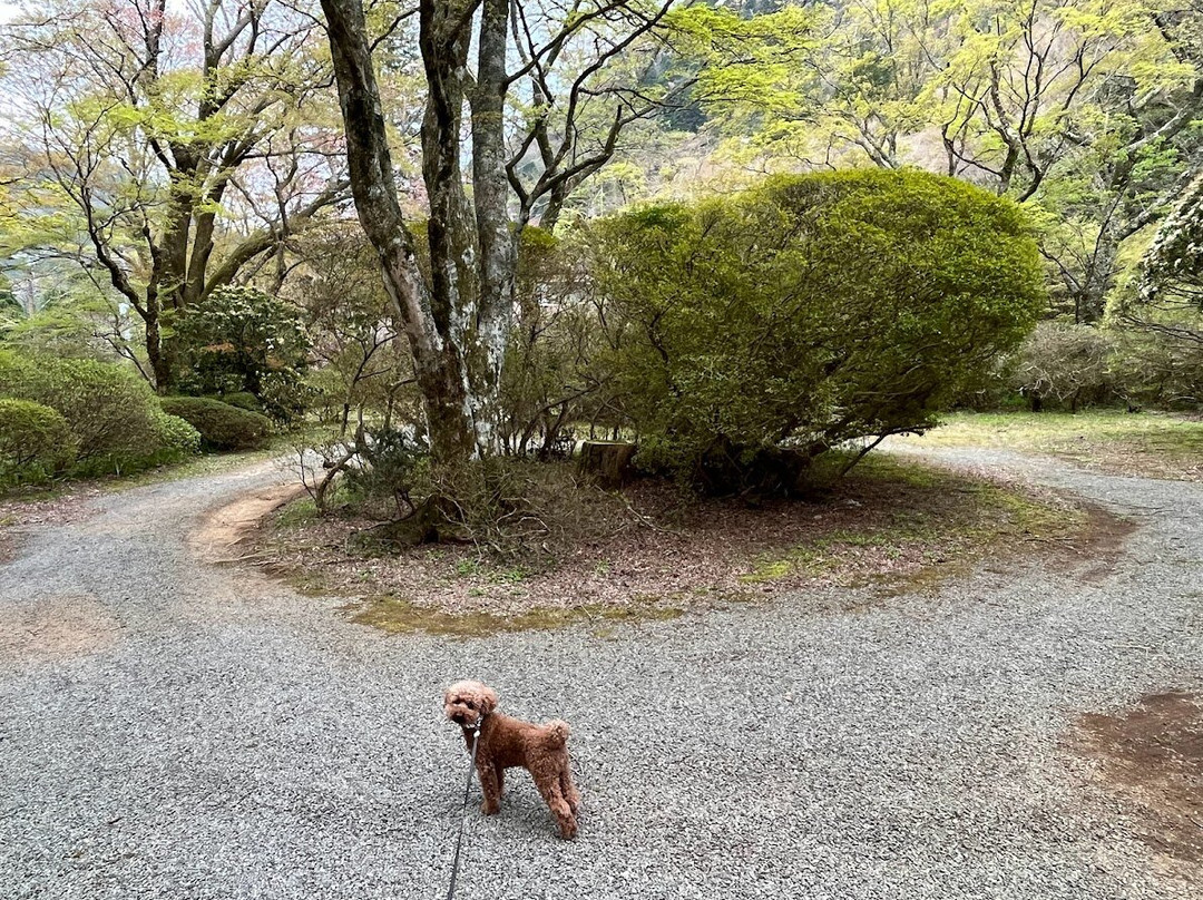 Hakone Kowakien Horai Garden景点图片