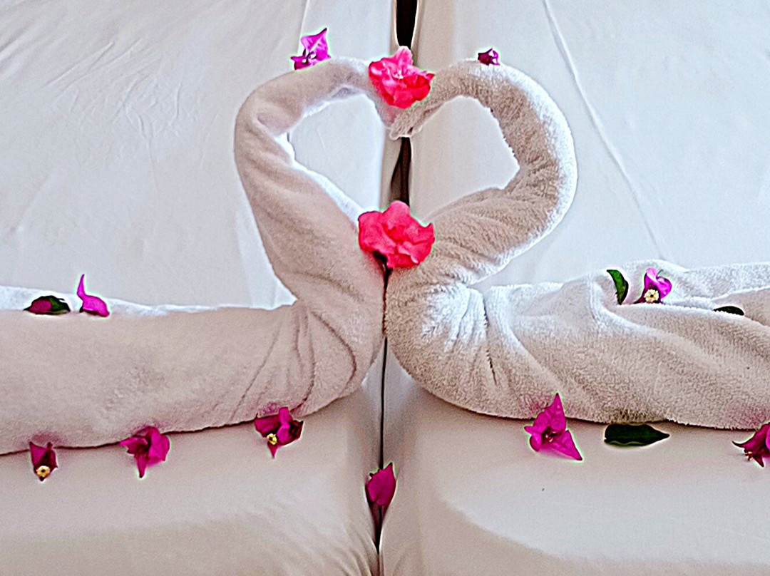 伊波罗之星贝利塞尔酒店主图