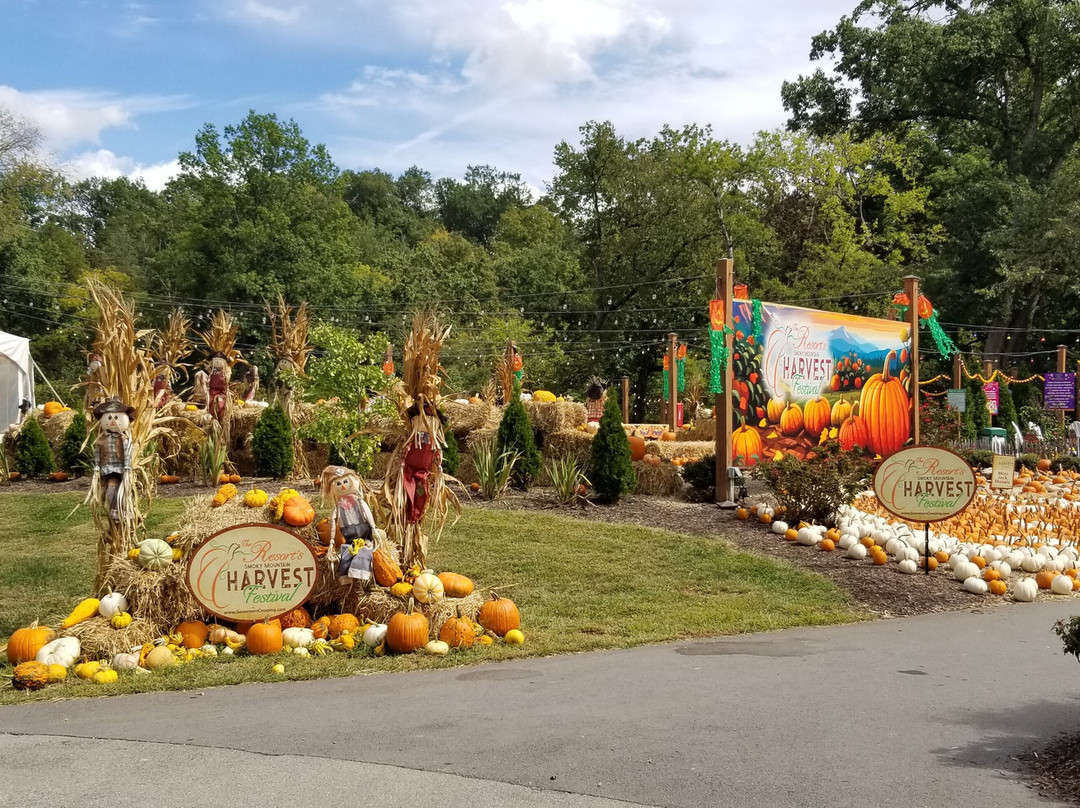 Resort at Governor's Crossing主图