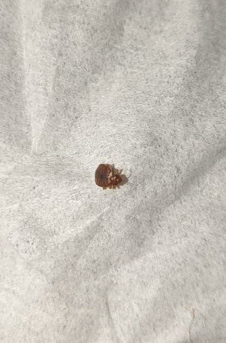 Sleep Inn Beaver-Beckley主图