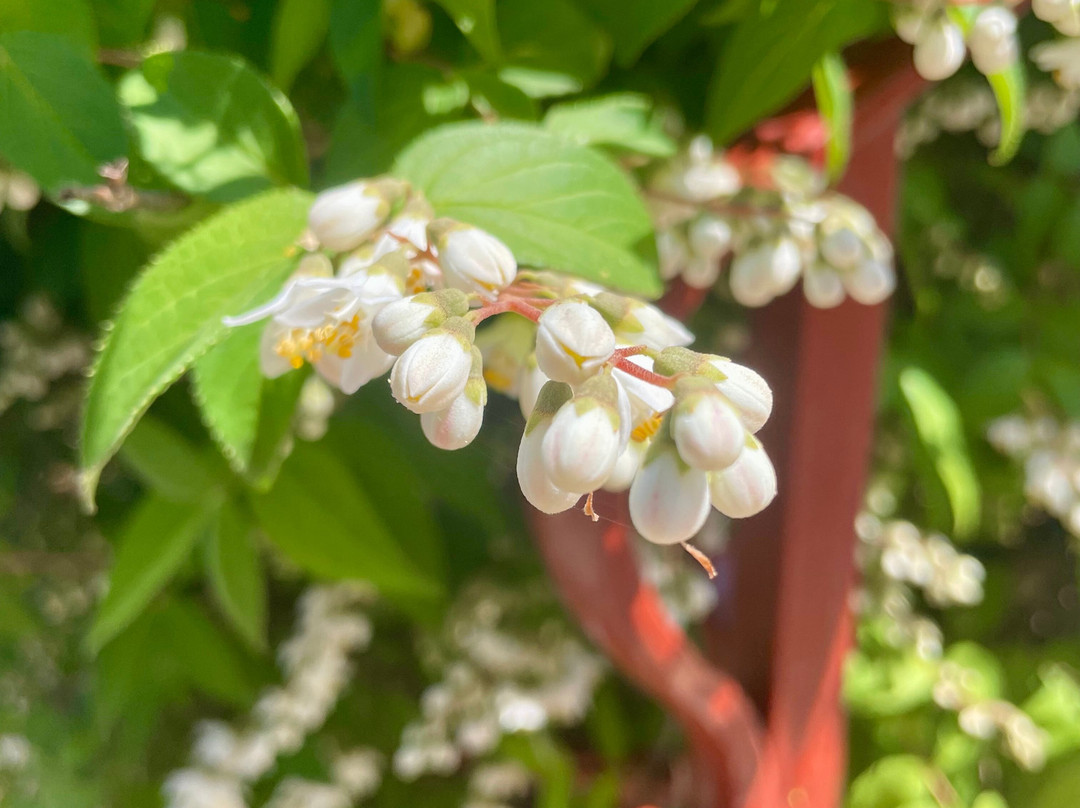 Gundagai Courthouse-刚达盖必去景点