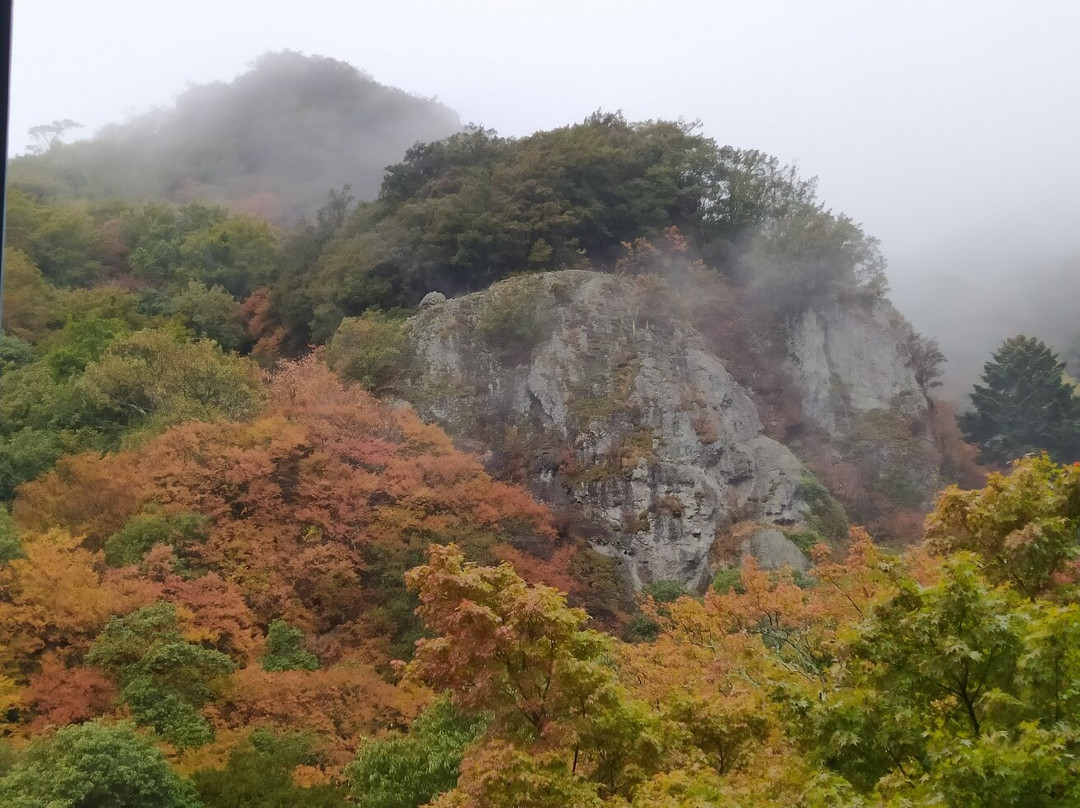 Kankakei Ropeway景点图片