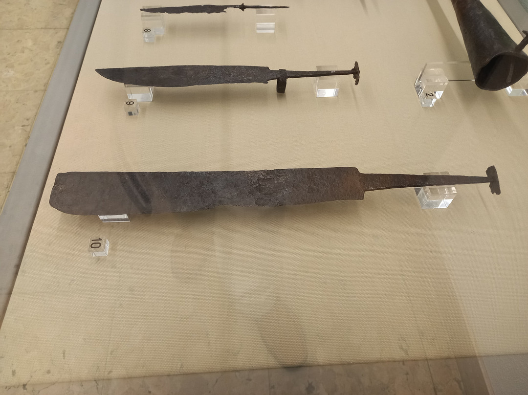 Museo della Fondazione Fioroni景点图片