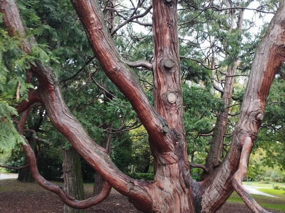 Jardin Des Plantes Toulouse-图卢兹必去景点