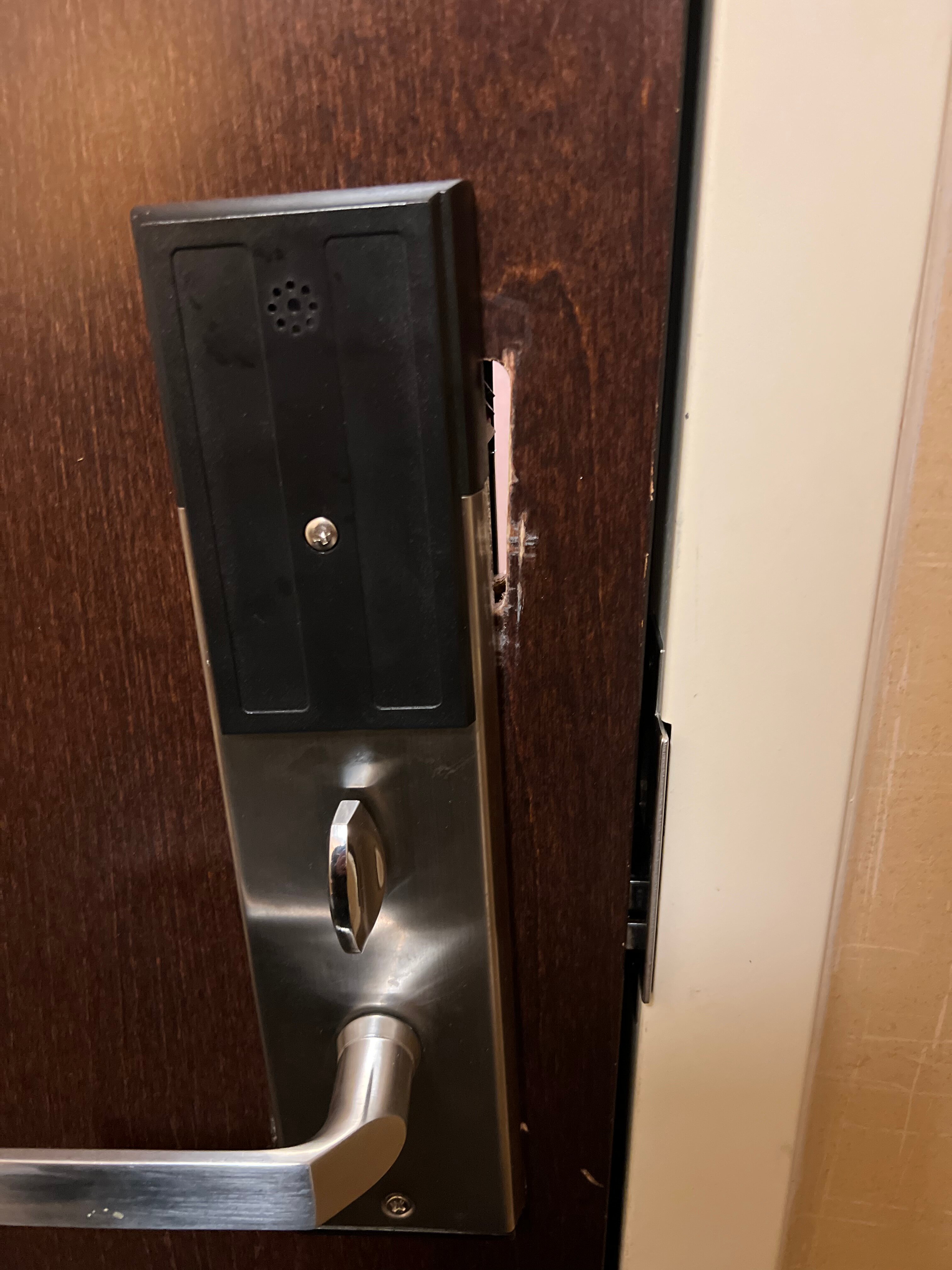 Cambria hotel & suites-官方