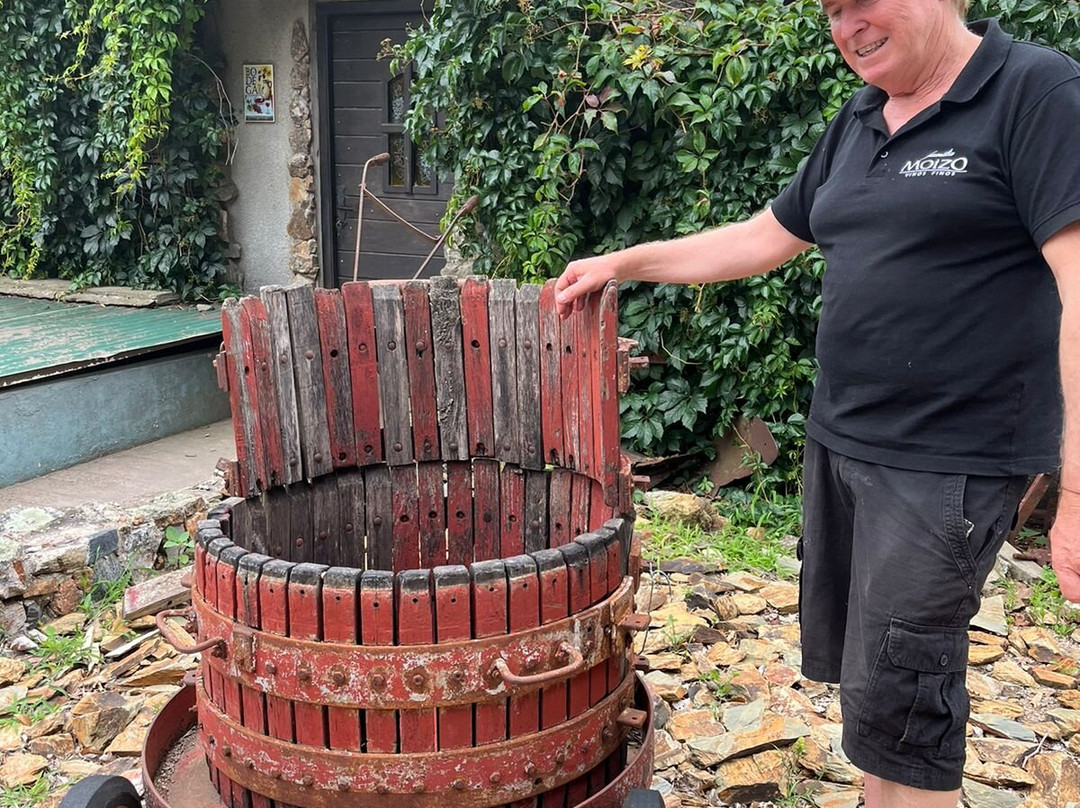 Bodega Familia Moizo-Canelones必去景点