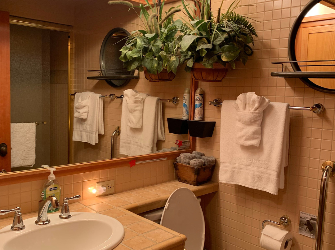 The Guest House主图