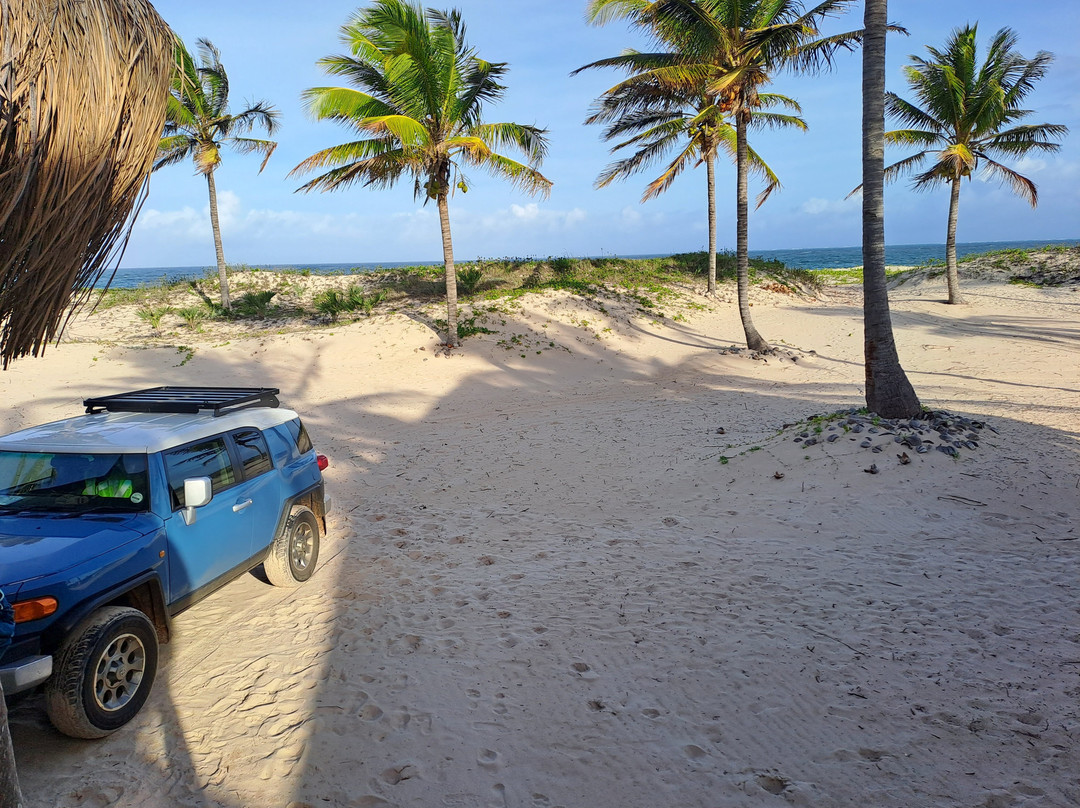 Pura Vida Lodge主图