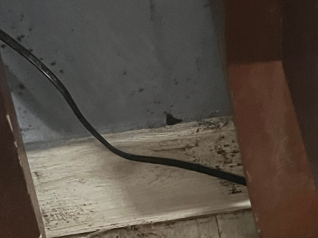 圣詹姆斯秘密主图