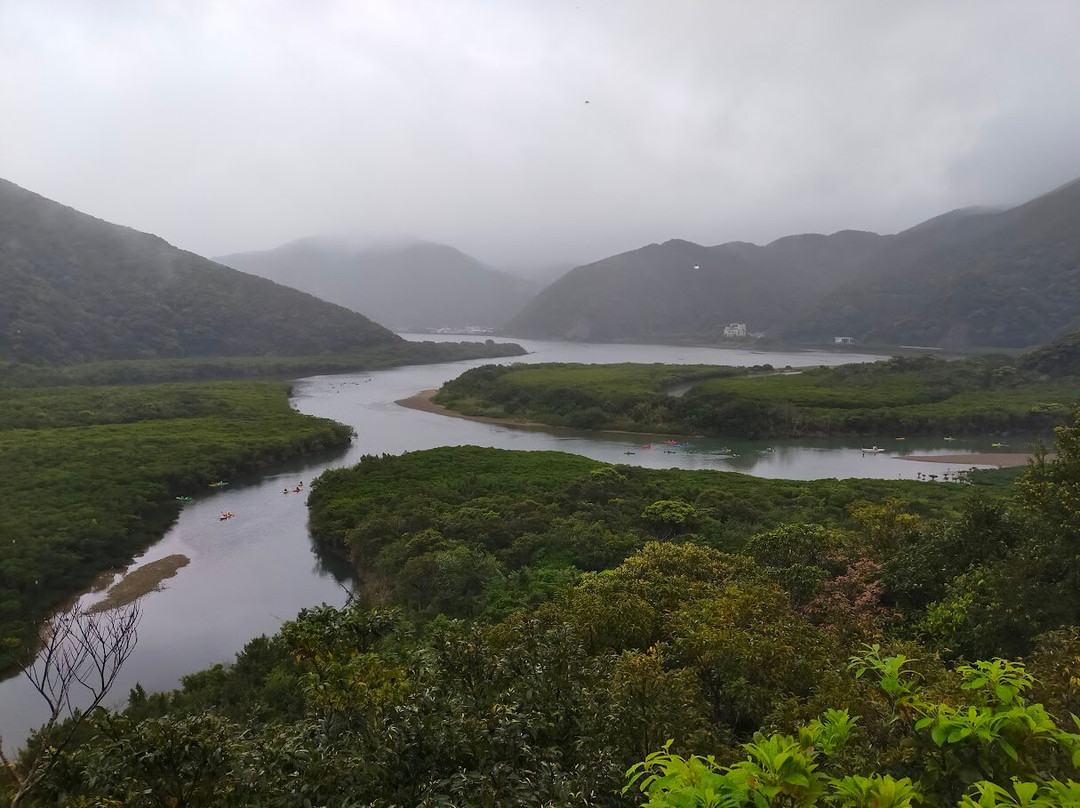 Kuroshio no Mori Mangrove Park-奄美市必去景点
