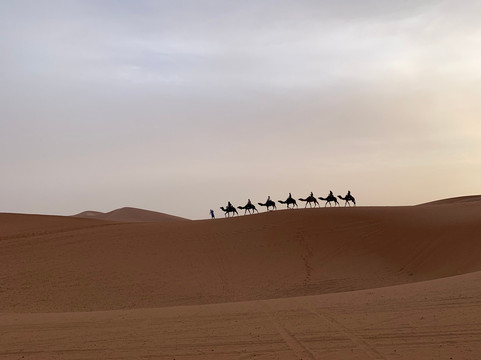 Visit Morocco Trip-非斯必去景点