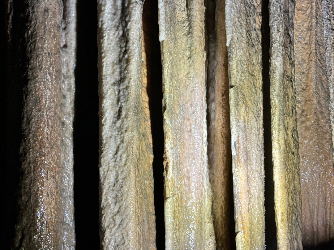 Cueva de la Pileta景点图片