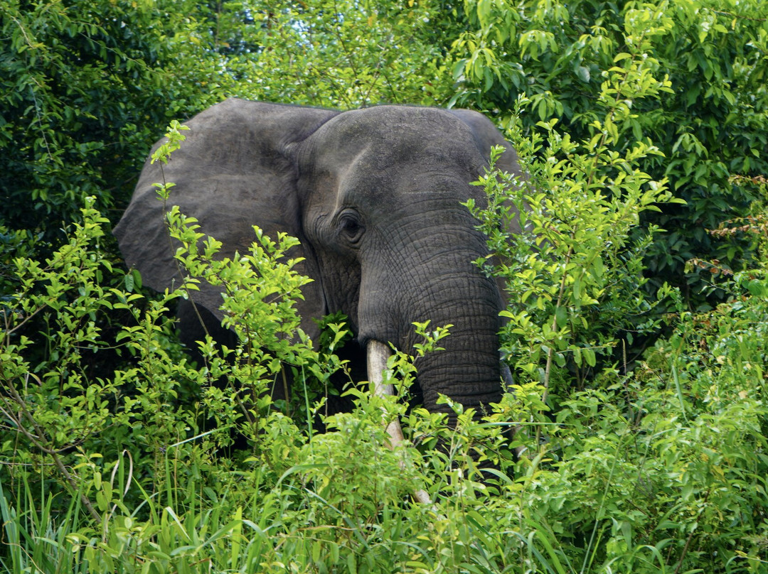 Apes Booking Vacations-坎帕拉必去景点