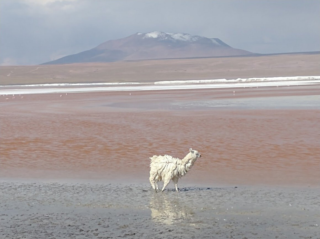 La Paz on Foot-拉巴斯必去景点