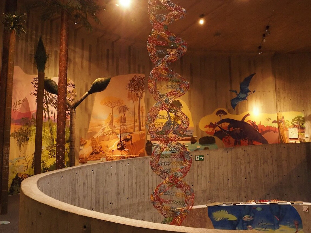 Krapina Neanderthal Museum景点图片