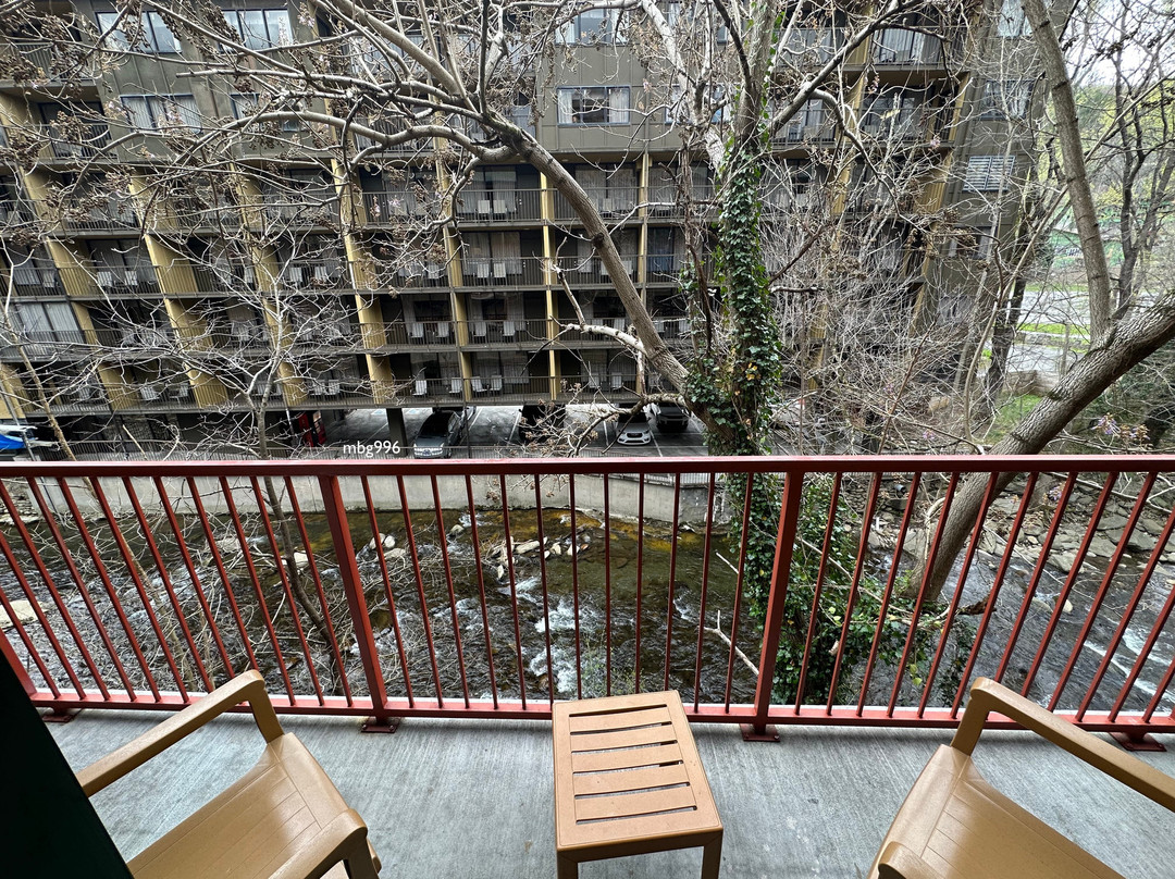 Bearskin Lodge on the River Hotel主图