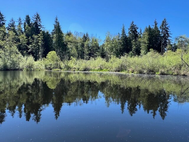 Scriber Lake Park-林伍德必去景点