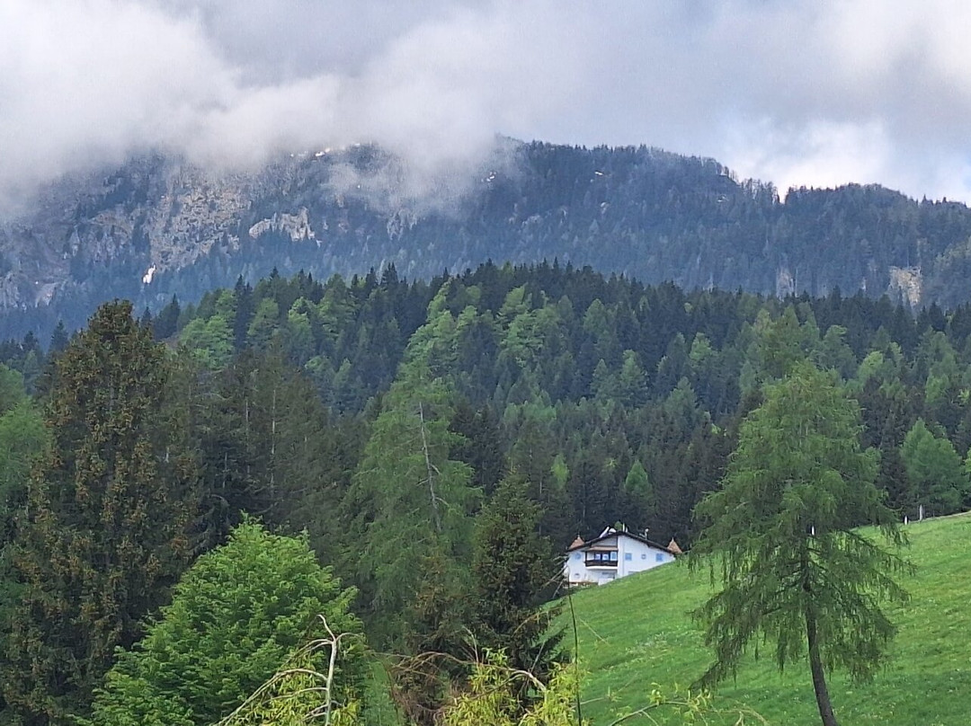 Fattoria Rainguthof景点图片
