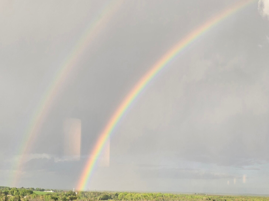 Island Resort & Casino主图