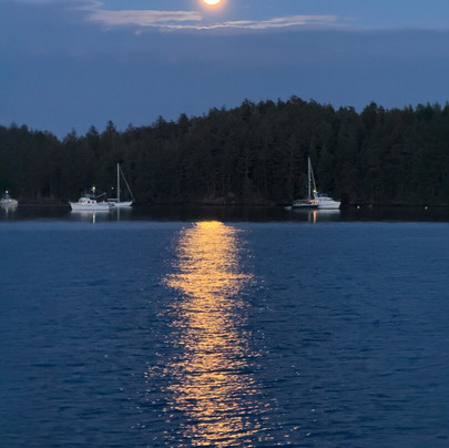 Bear Paw Charters, LLC-星期五港湾必去景点
