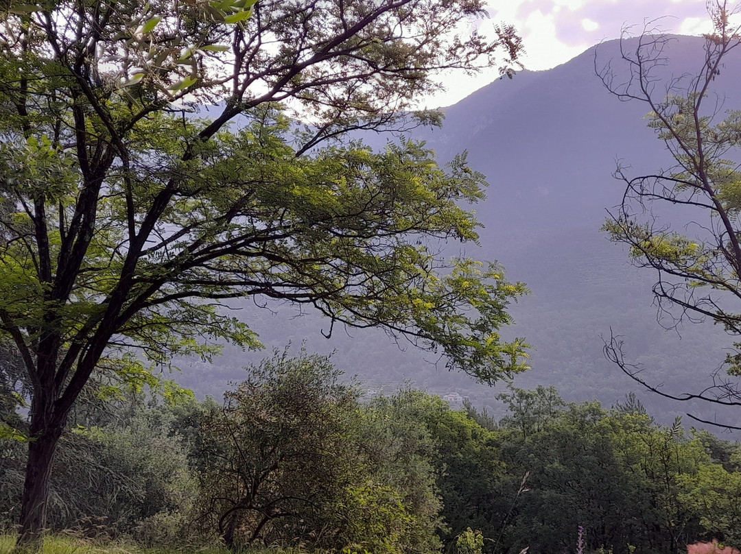 Vedicare Ayurvedic Spa景点图片