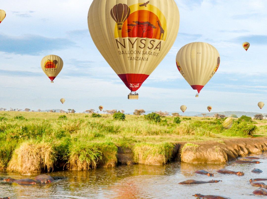 Nyssa Balloon Safaris-Seronera必去景点