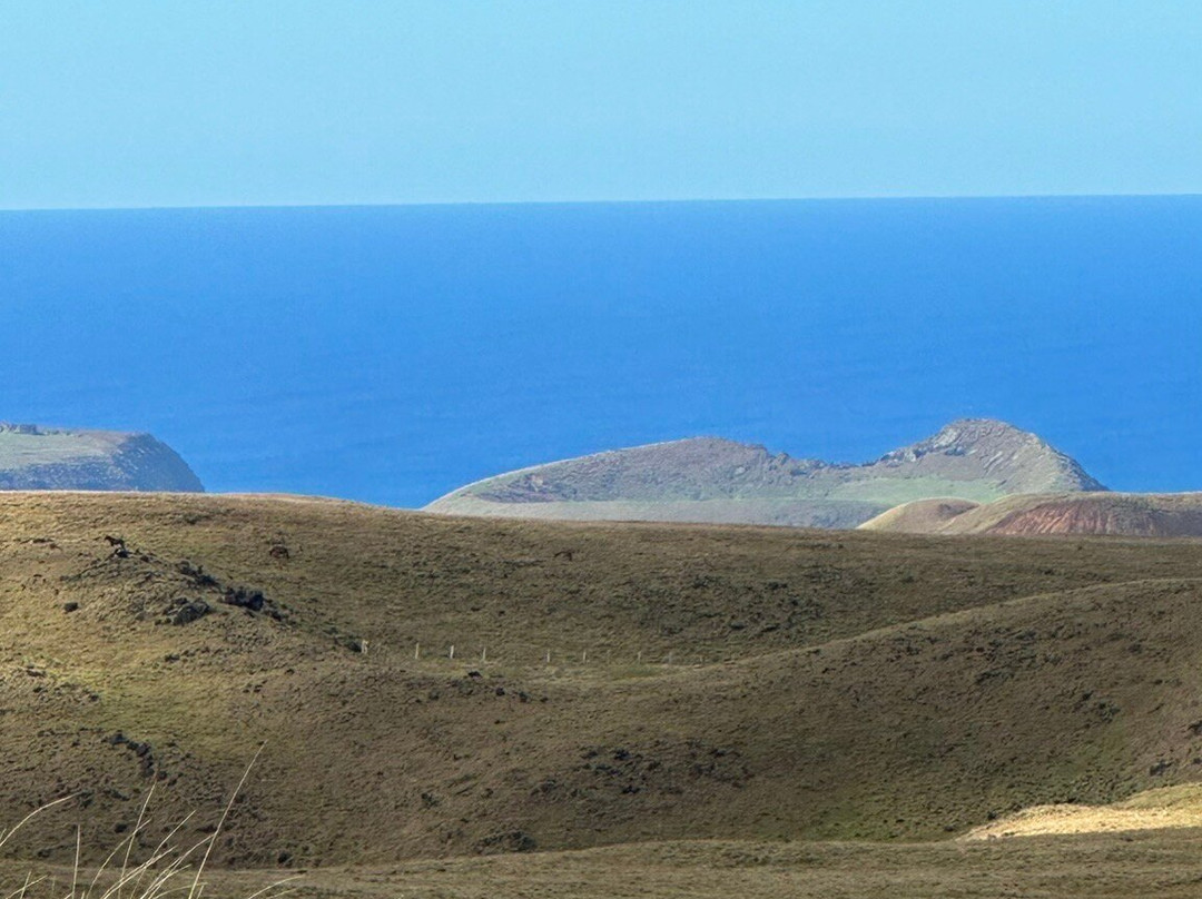 Maunga Terevaka-复活节岛必去景点