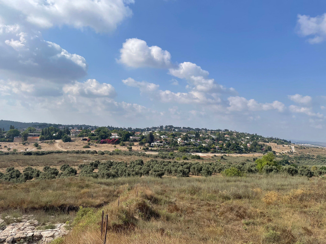 Atlantis Travel - Day Tours-Bat Yam必去景点