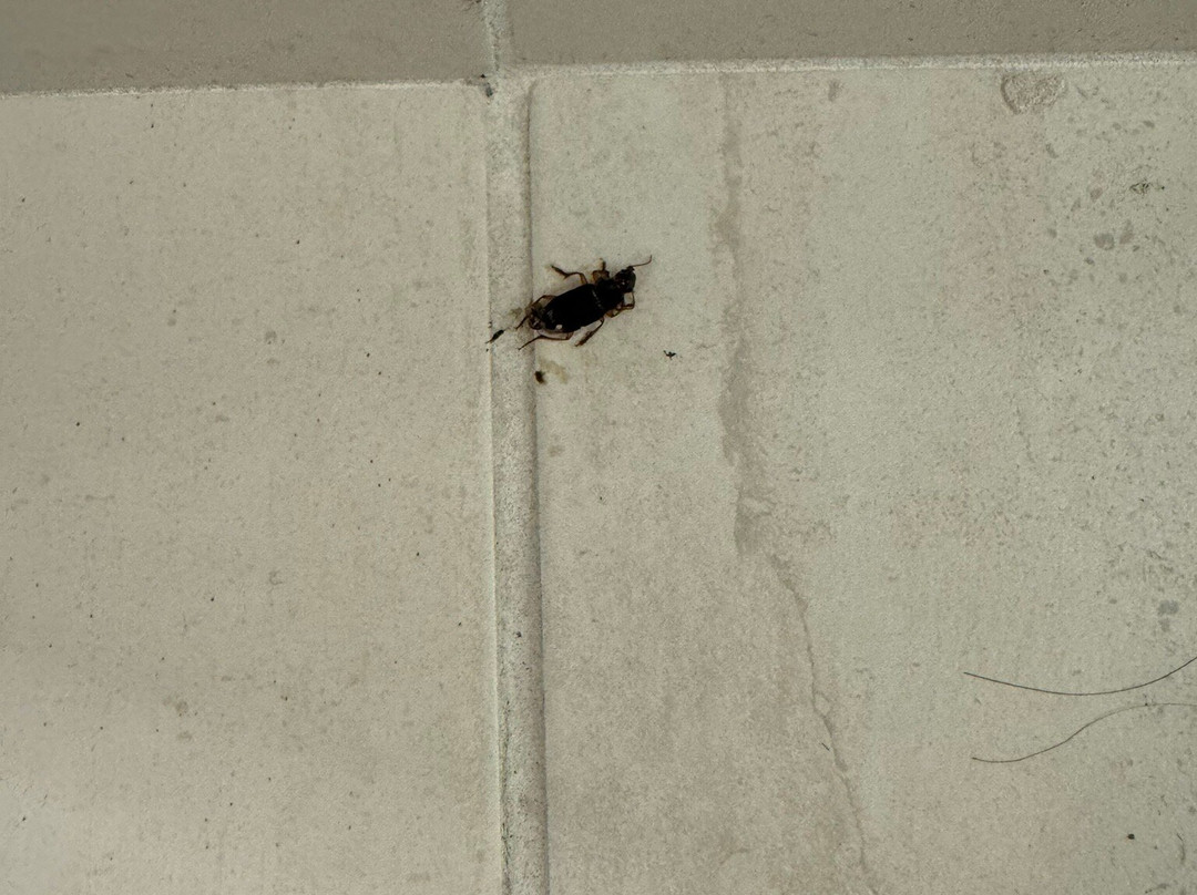 Crowne Plaza Providence-Warwick Airport by IHG主图