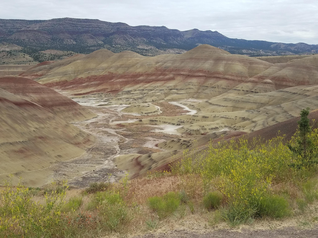John Day Fossil Beds National Monument景点图片