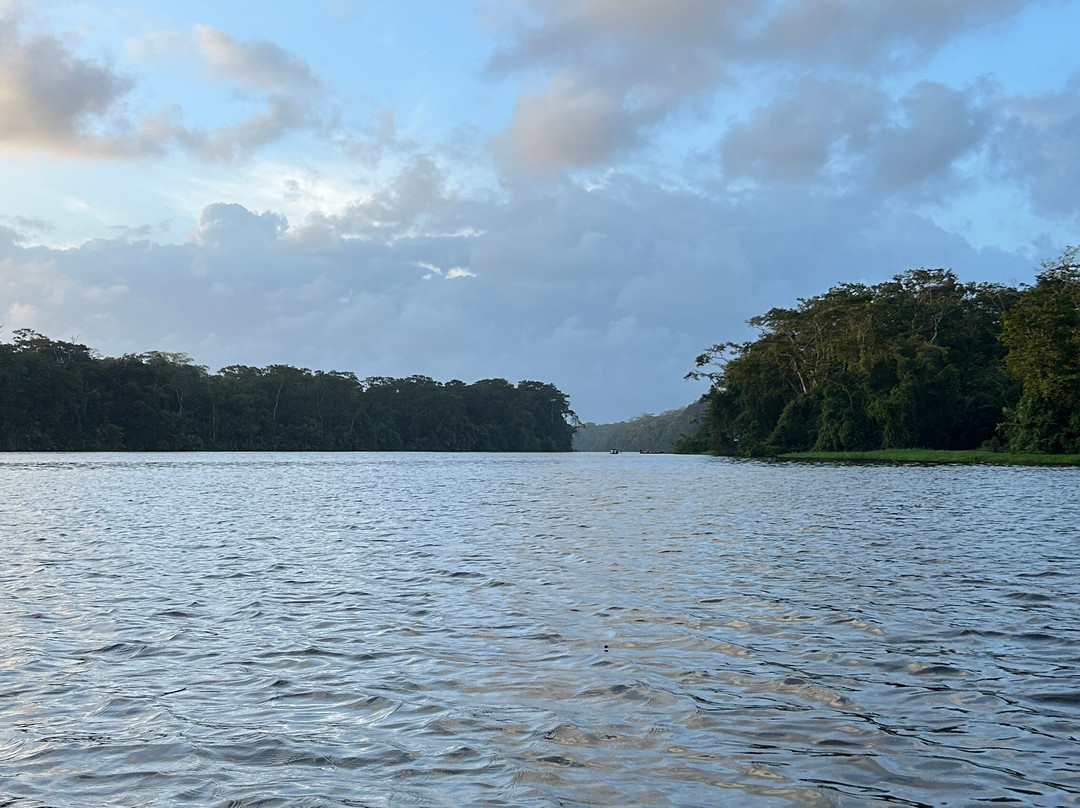 Carlota Tours Tortuguero Français-托图杰多必去景点