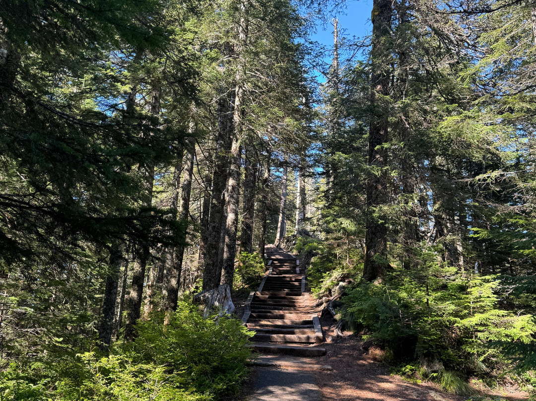 Larch Mountain-Corbett必去景点