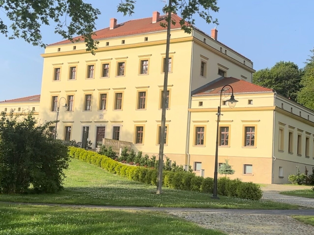 Nowa Wies Grodziska酒店住宿-Palac Lubiechowa