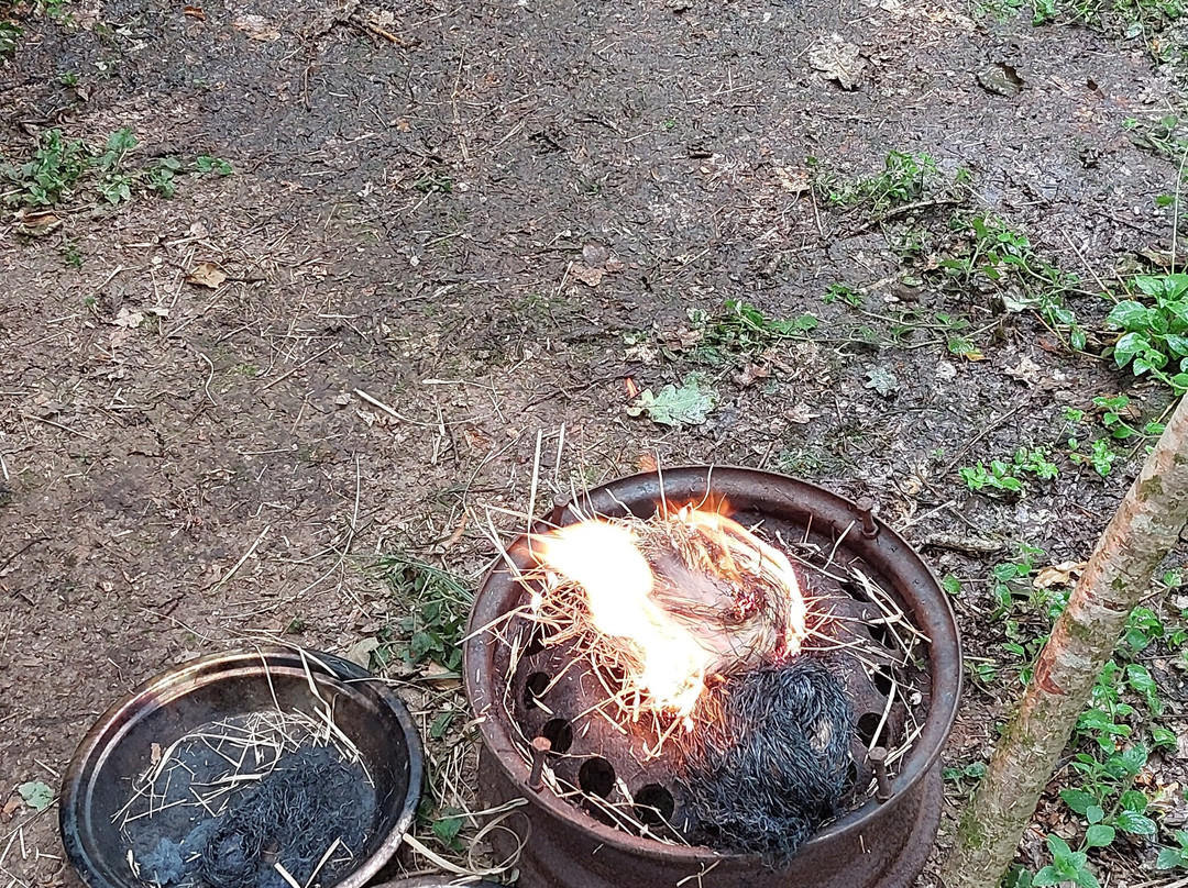 Basic Bushcraft景点图片