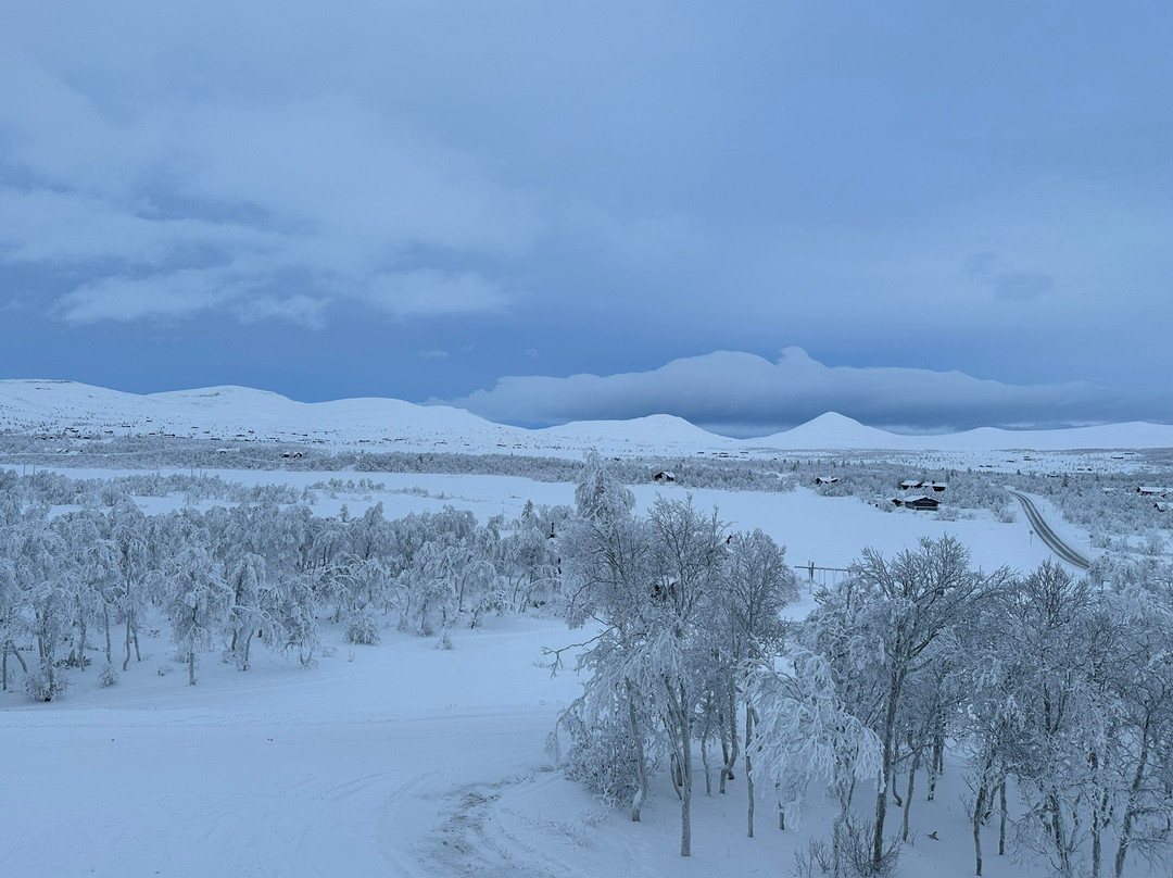 Venabu Fjellhotell og Hytter主图