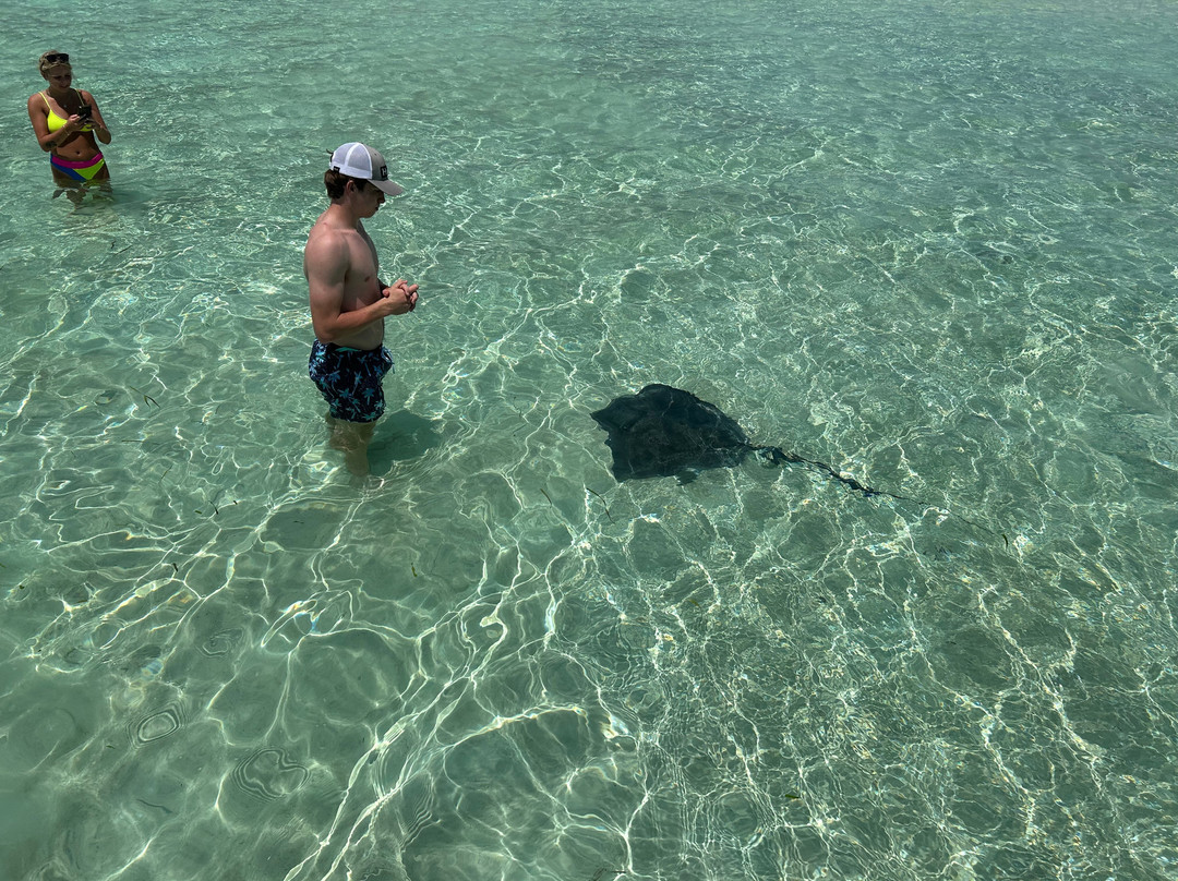 Bahamas Ocean Safaris景点图片
