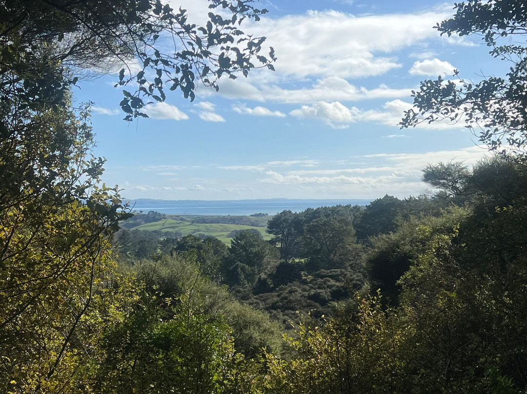Kaipara Coast Sculpture Gardens-Kaukapakapa必去景点