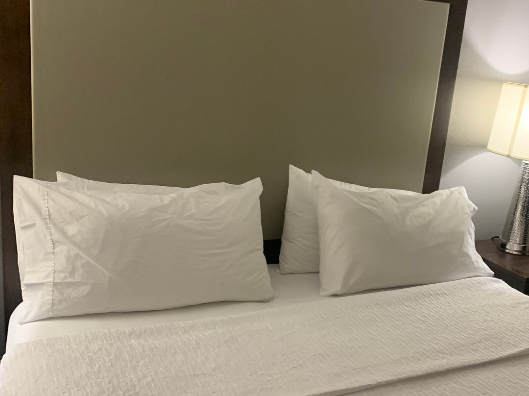 Homewood Suites by Hilton Mahwah主图