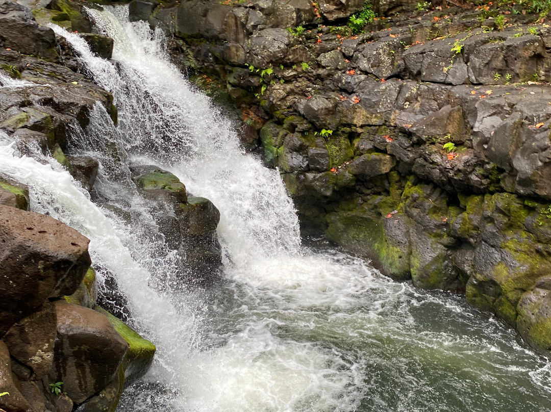 Hike Kauai With Me-普林斯维尔必去景点